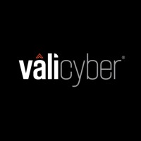 Vali Cyber logo